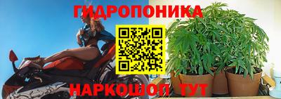 дурь Гусев