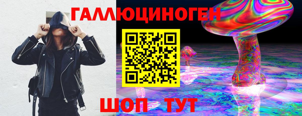 Норильск  Псилоцибиновые грибы Psilocybe  Вход с VPN 